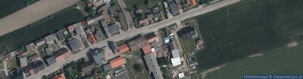 Zdjęcie satelitarne Trzcielska ul.