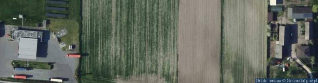 Zdjęcie satelitarne Trybunalska ul.
