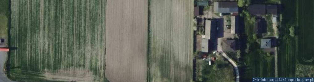 Zdjęcie satelitarne Trybunalska ul.