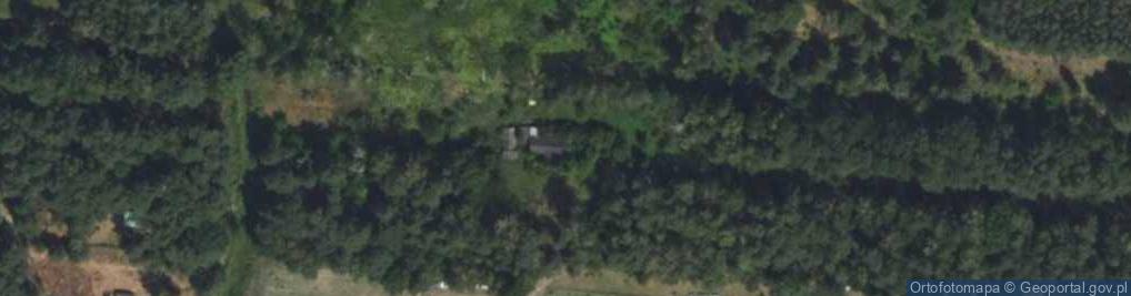 Zdjęcie satelitarne Trakt Królewski ul.