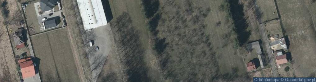 Zdjęcie satelitarne Trakt Dębski ul.