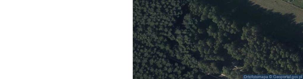 Zdjęcie satelitarne Trakt Napoleoński ul.