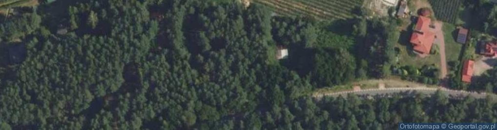 Zdjęcie satelitarne Trakt Napoleoński ul.