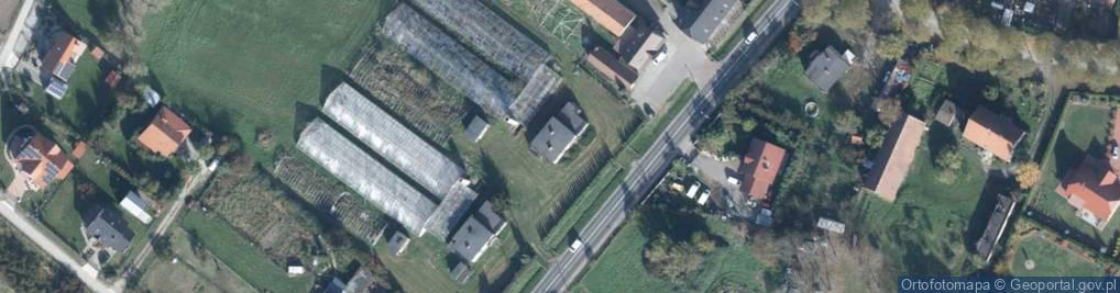 Zdjęcie satelitarne Trzebnicka ul.