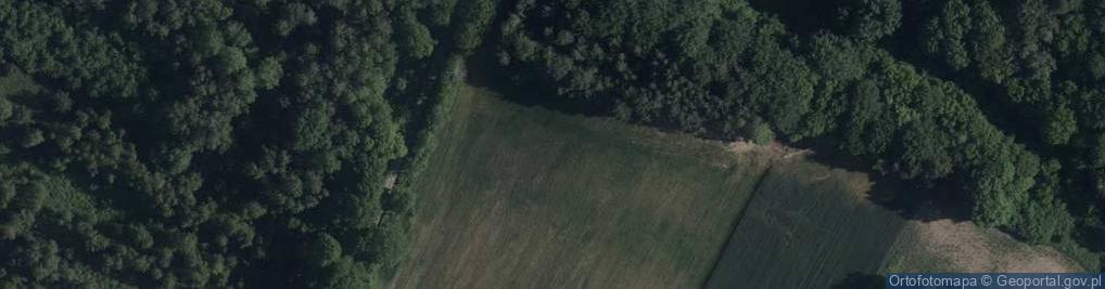 Zdjęcie satelitarne Trześniowska ul.