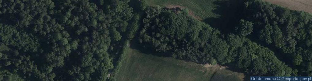 Zdjęcie satelitarne Trześniowska ul.