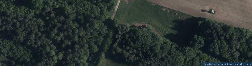 Zdjęcie satelitarne Trześniowska ul.