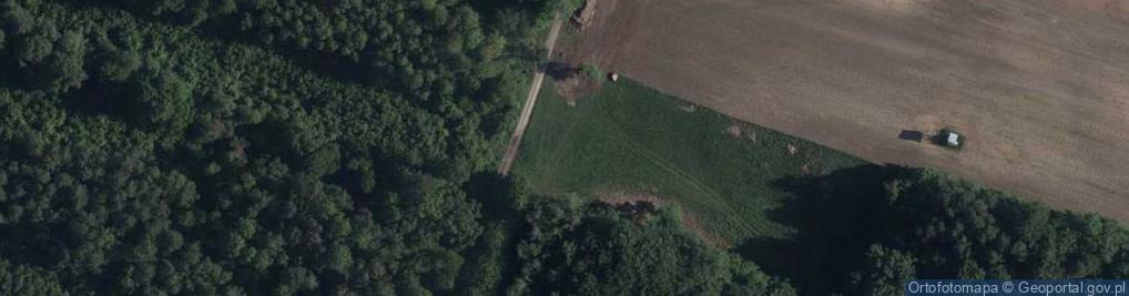 Zdjęcie satelitarne Trześniowska ul.