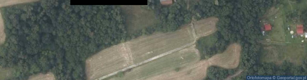 Zdjęcie satelitarne Trawna Góra ul.
