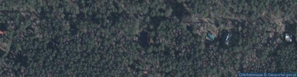 Zdjęcie satelitarne Trakt Napoleoński ul.