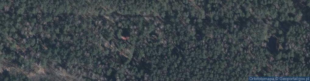 Zdjęcie satelitarne Trakt Napoleoński ul.