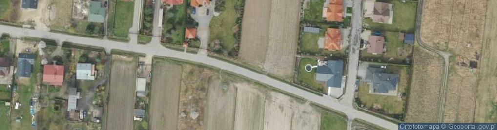 Zdjęcie satelitarne Trzcińska ul.