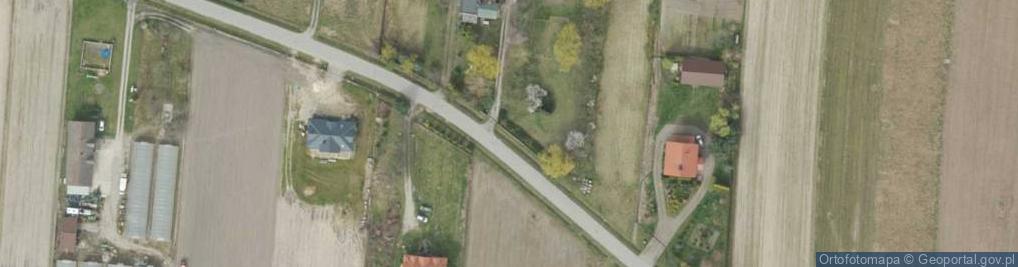 Zdjęcie satelitarne Trzcińska ul.