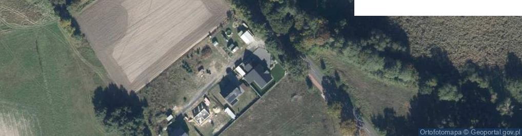 Zdjęcie satelitarne Trzcielska ul.