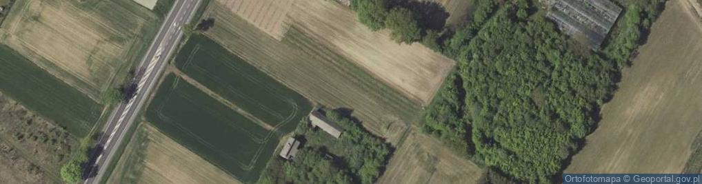Zdjęcie satelitarne Trojaczkowice ul.