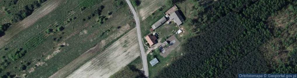 Zdjęcie satelitarne Trójnia ul.