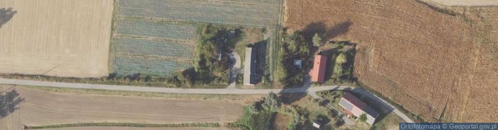 Zdjęcie satelitarne Tryl ul.