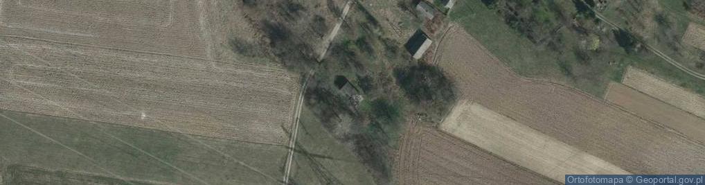 Zdjęcie satelitarne Tryńcza ul.