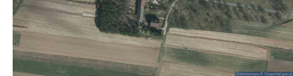 Zdjęcie satelitarne Tryńcza ul.