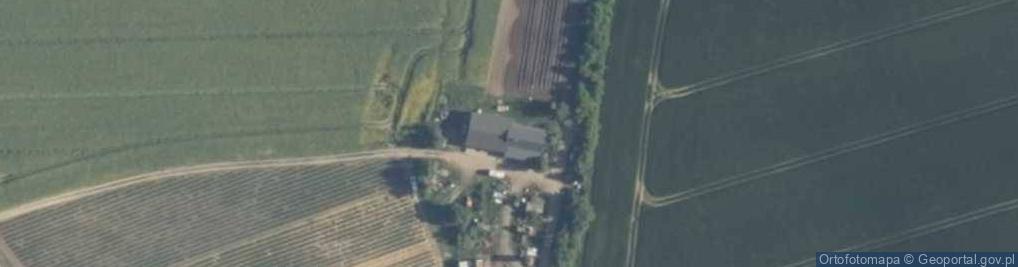 Zdjęcie satelitarne Trynno ul.