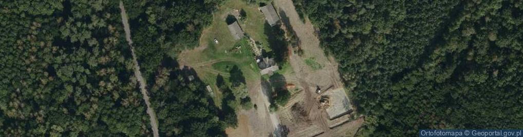 Zdjęcie satelitarne Trzciana ul.