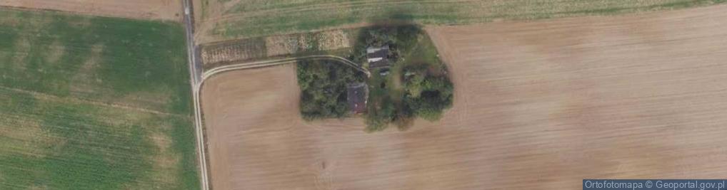 Zdjęcie satelitarne Trzcianek ul.
