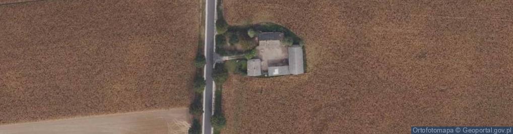 Zdjęcie satelitarne Trzcianek ul.
