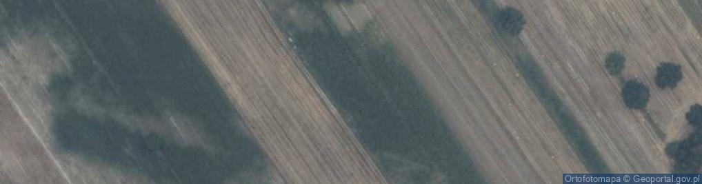 Zdjęcie satelitarne Trzcianka ul.