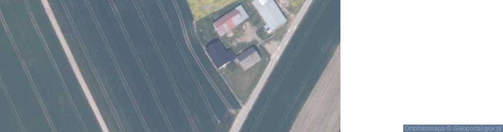 Zdjęcie satelitarne Trzciano ul.