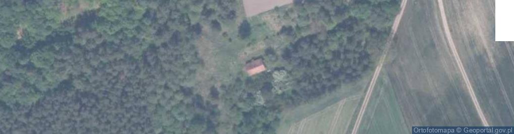 Zdjęcie satelitarne Trzciano ul.