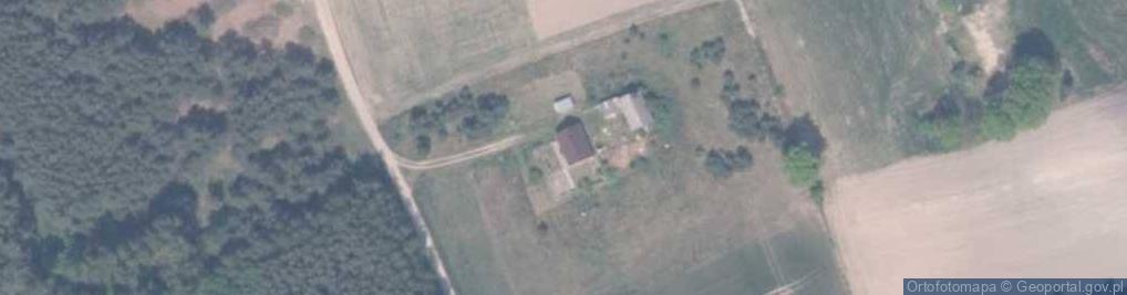 Zdjęcie satelitarne Trzciano ul.