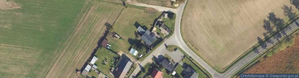 Zdjęcie satelitarne Trzciany ul.