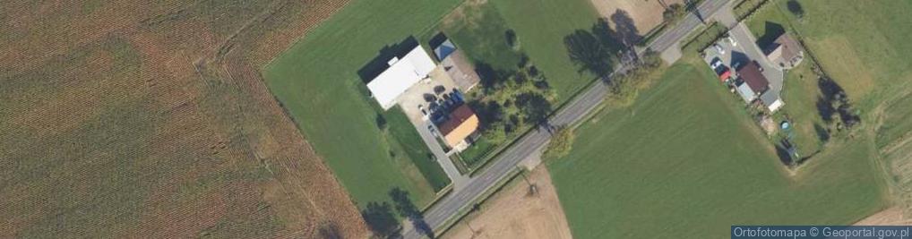 Zdjęcie satelitarne Trzciany ul.