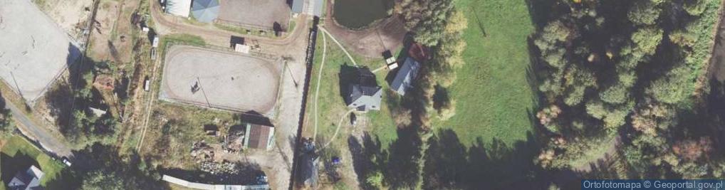 Zdjęcie satelitarne Trzcieliny ul.