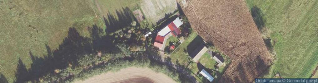 Zdjęcie satelitarne Trzcieliny ul.