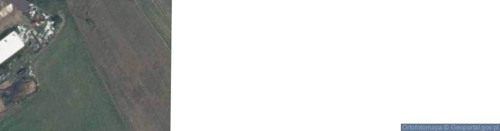 Zdjęcie satelitarne Trzcin ul.