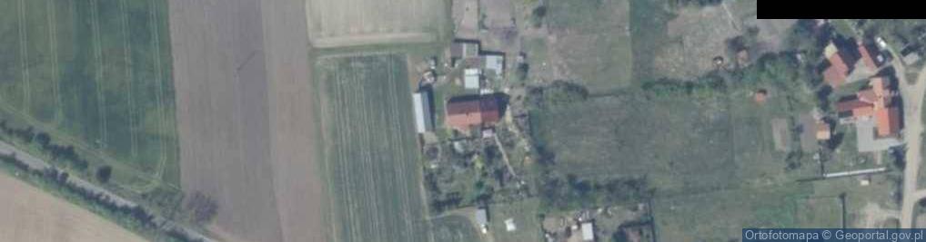 Zdjęcie satelitarne Trzcinna ul.
