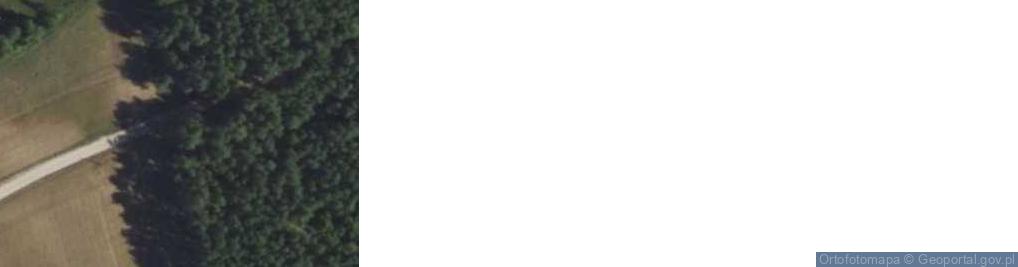 Zdjęcie satelitarne Trzcińsk ul.