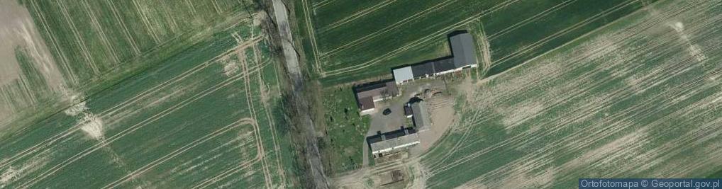Zdjęcie satelitarne Trzebcz Królewski ul.