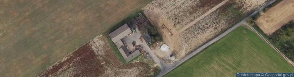 Zdjęcie satelitarne Trzebcz Szlachecki ul.