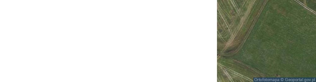 Zdjęcie satelitarne Trzebcz Szlachecki ul.