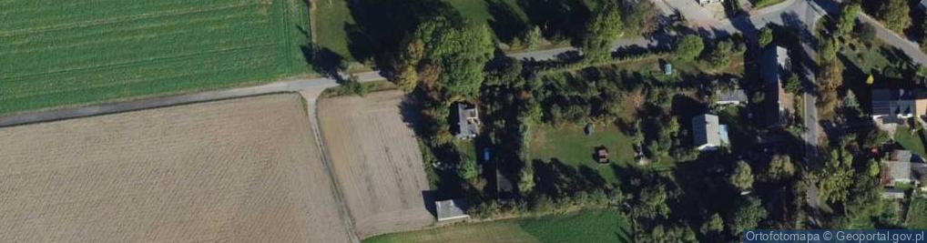 Zdjęcie satelitarne Trzebcz Szlachecki ul.