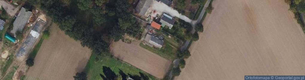 Zdjęcie satelitarne Trzebcz Szlachecki ul.