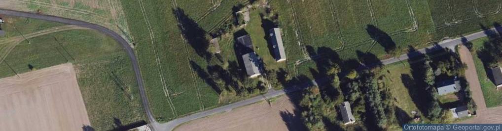 Zdjęcie satelitarne Trzebcz Szlachecki ul.