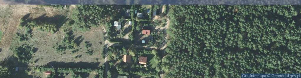 Zdjęcie satelitarne Trzebiechowo ul.