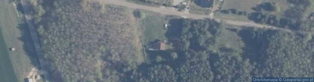 Zdjęcie satelitarne Trzebieradz ul.