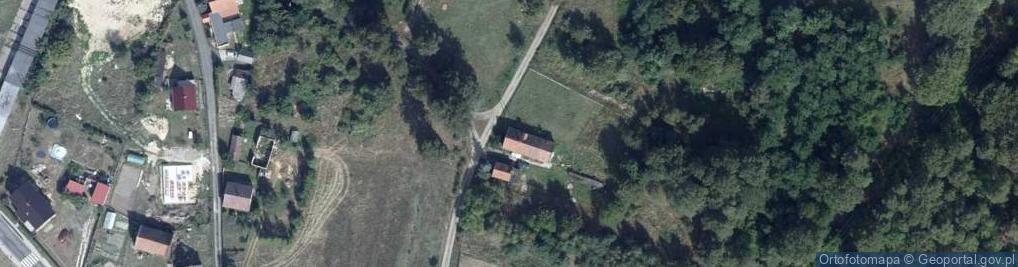 Zdjęcie satelitarne Trzebów ul.