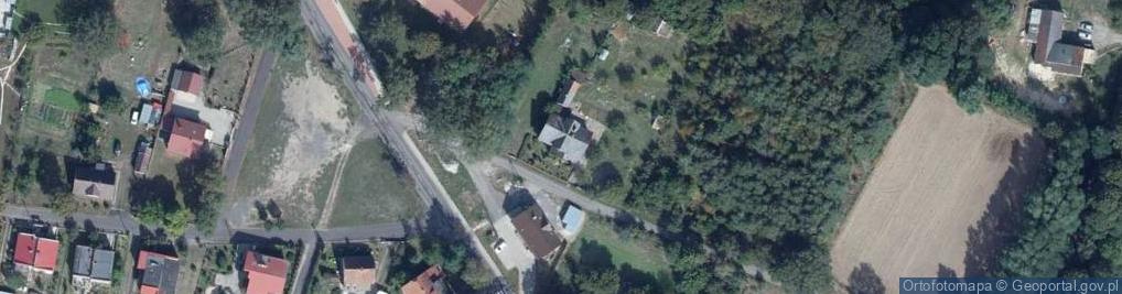 Zdjęcie satelitarne Trzebów ul.