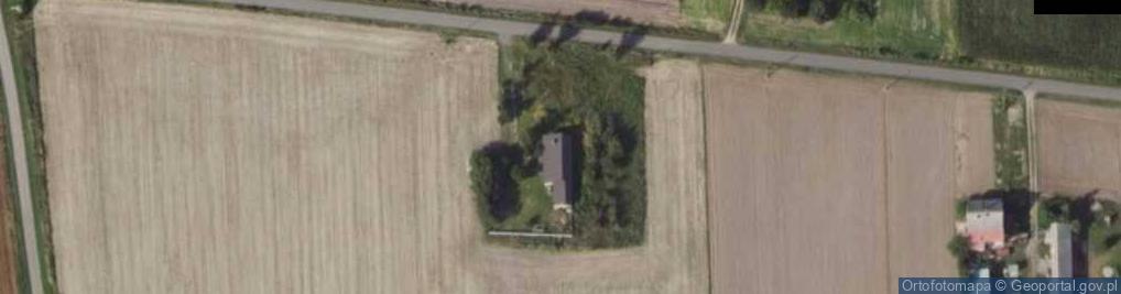 Zdjęcie satelitarne Trzebuchów ul.