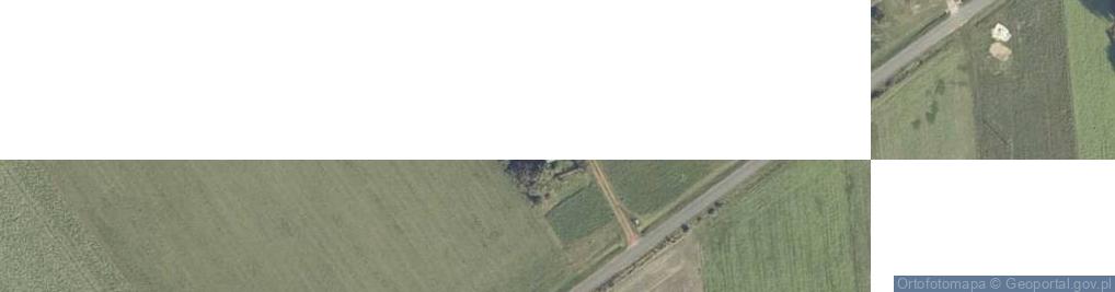 Zdjęcie satelitarne Trzebuchów ul.